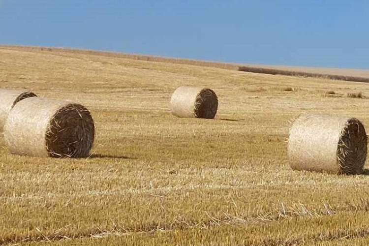 Az agrárminiszter szeretné betiltani a szalmabálák erőművi értékesítését